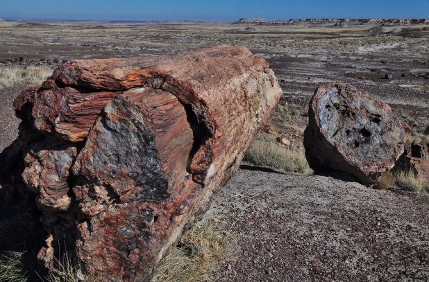 The Petrified Forest